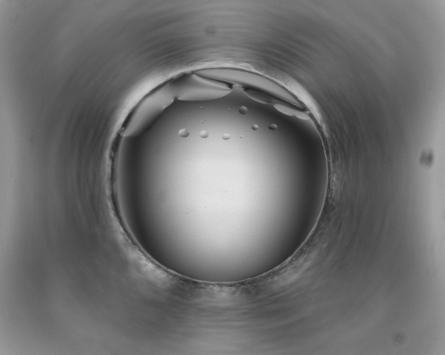X0000094171096200710261103