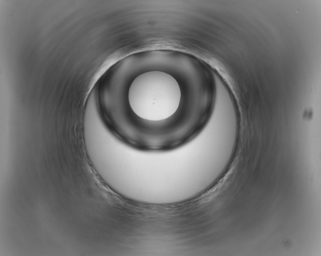 X0000094171097200710261103