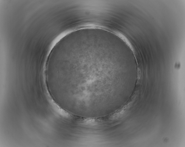 X0000094171098200710261103