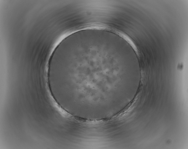 X0000094171099200710261103