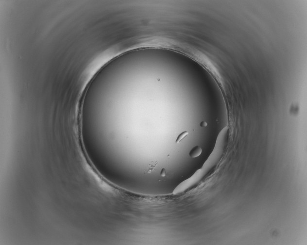 X0000094171103200710261103