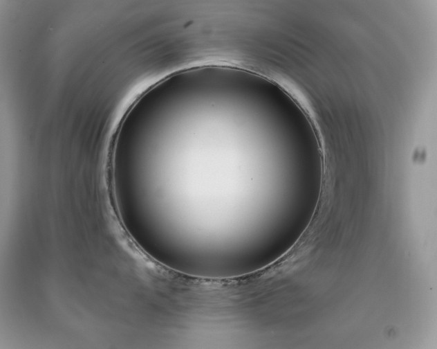 X0000094171104200710261103