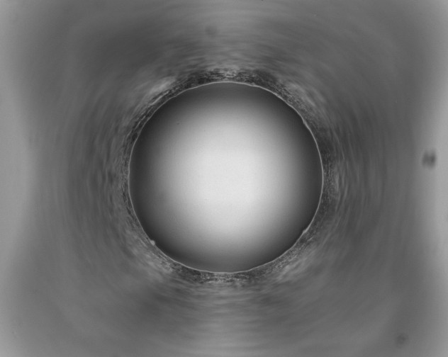 X0000094171105200710261102