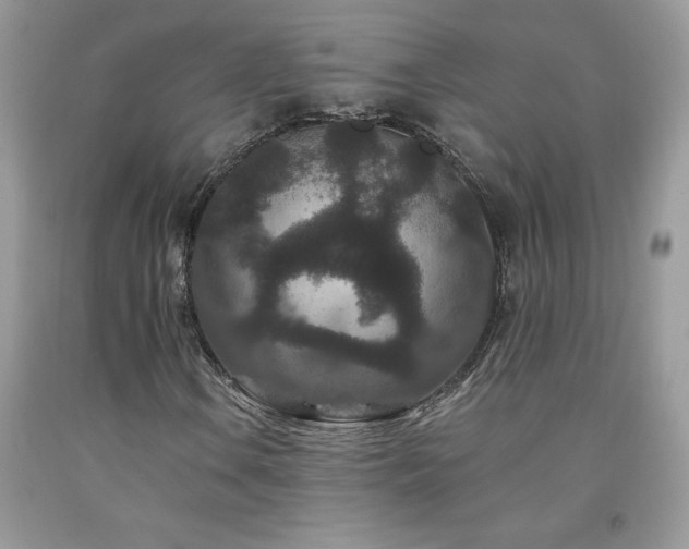 X0000094171106200710261102