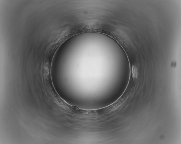 X0000094171107200710261102