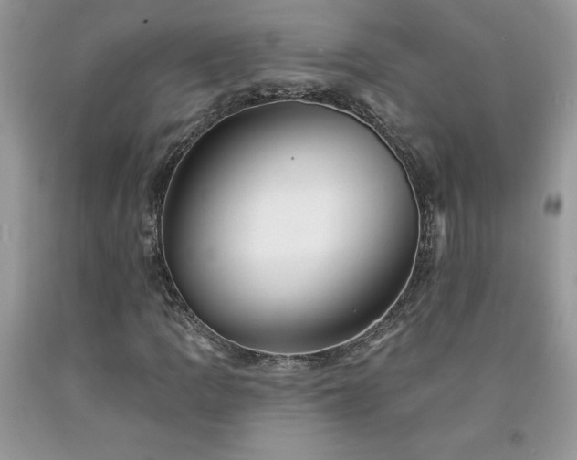 X0000094171109200710261102