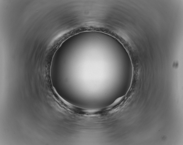 X0000094171112200710261102
