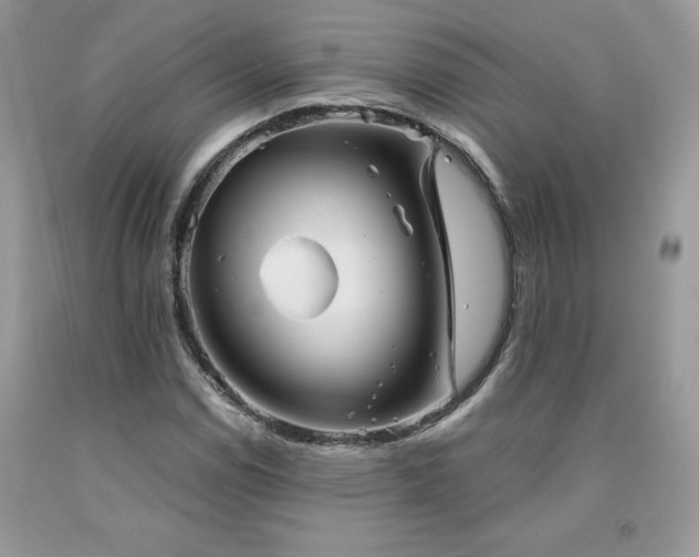 X0000094171114200710261102