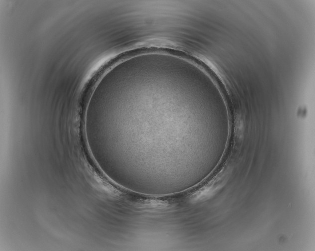 X0000094171115200710261102