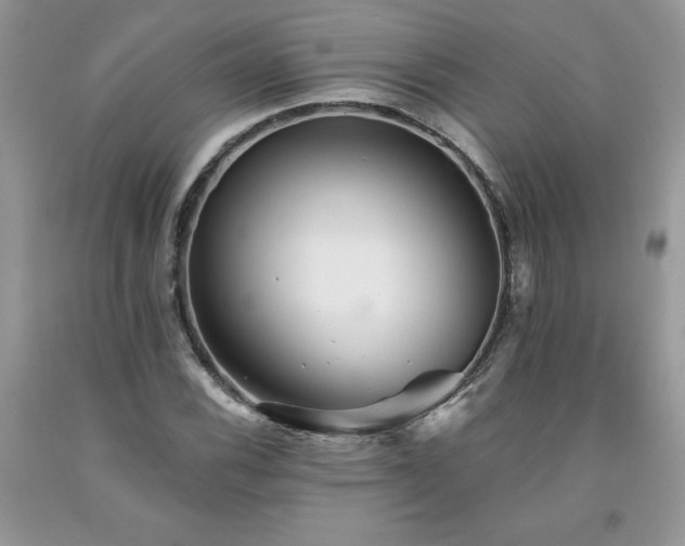 X0000094171116200710261102