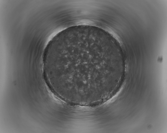 X0000094171117200710261102