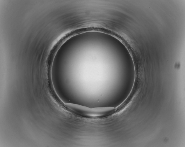 X0000094171118200710261102