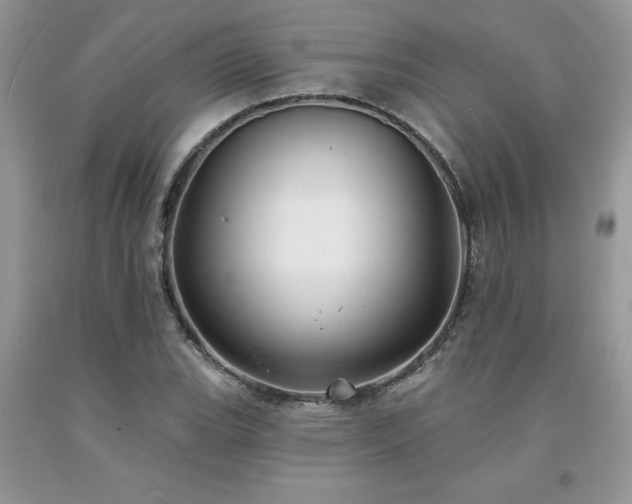 X0000094171119200710261102