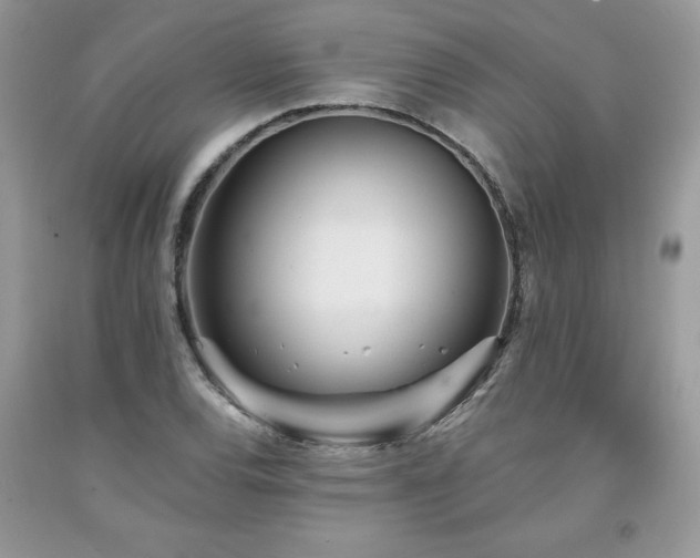 X0000094171120200710261103