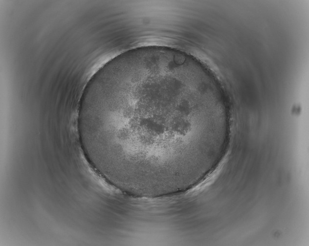 X0000094171121200710261103