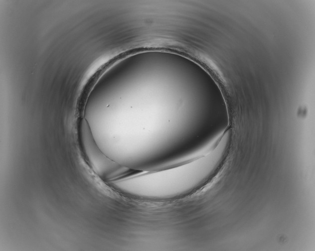 X0000094171122200710261103