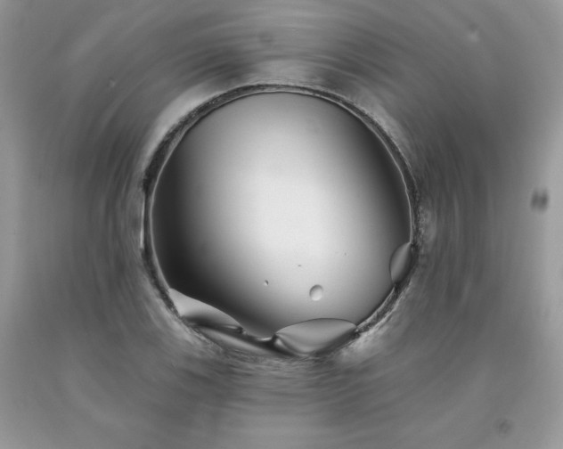 X0000094171123200710261103