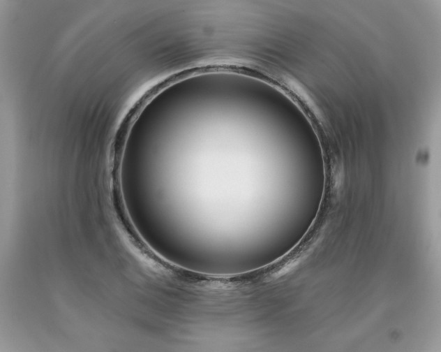 X0000094171124200710261103