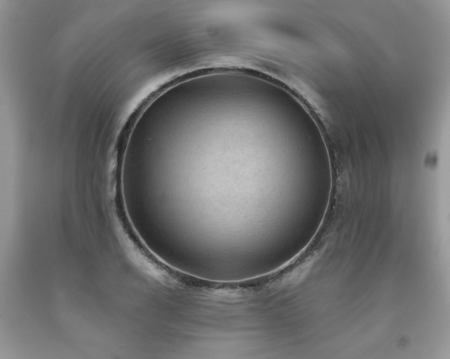 X0000094171126200710261103