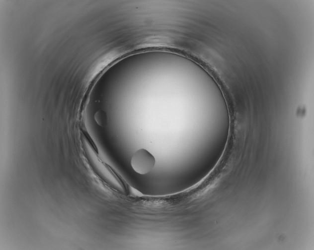 X0000094171129200710261103