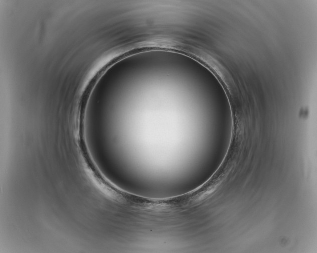 X0000094171131200710261103