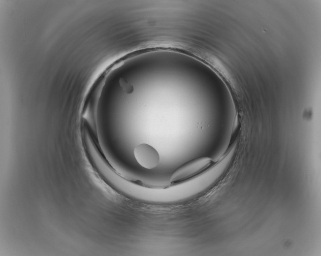 X0000094171132200710261103
