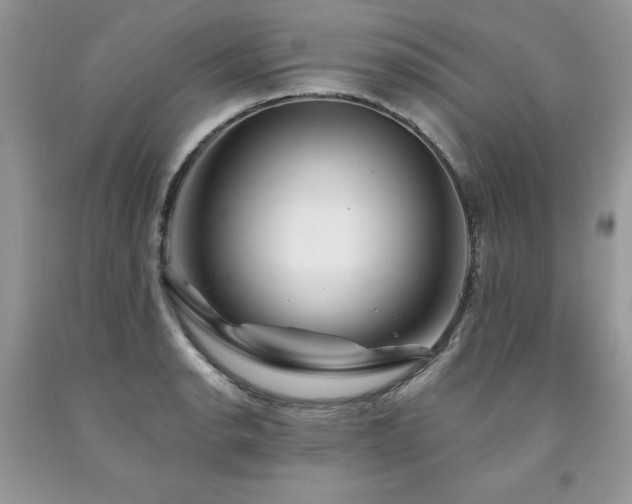 X0000094171134200710261103