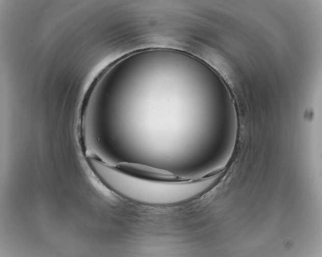 X0000094171136200710261103