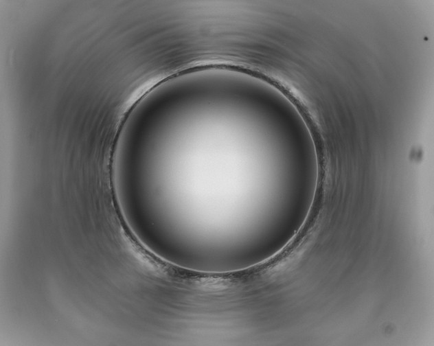 X0000094171137200710261103