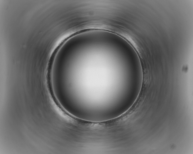 X0000094171139200710261103