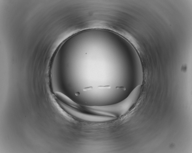 X0000094171142200710261103