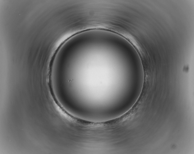 X0000094171143200710261103
