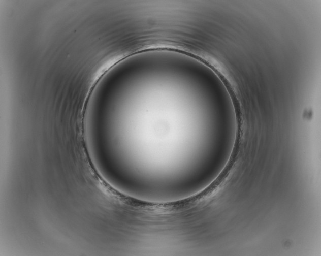 X0000094171145200710261103