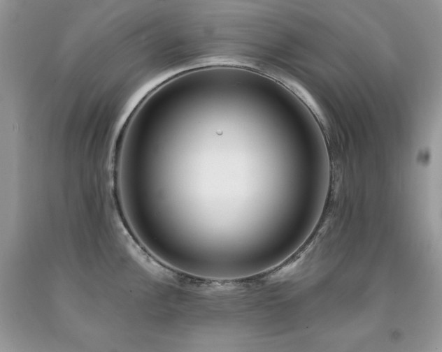 X0000094171148200710261103