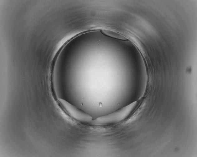X0000094171149200710261103