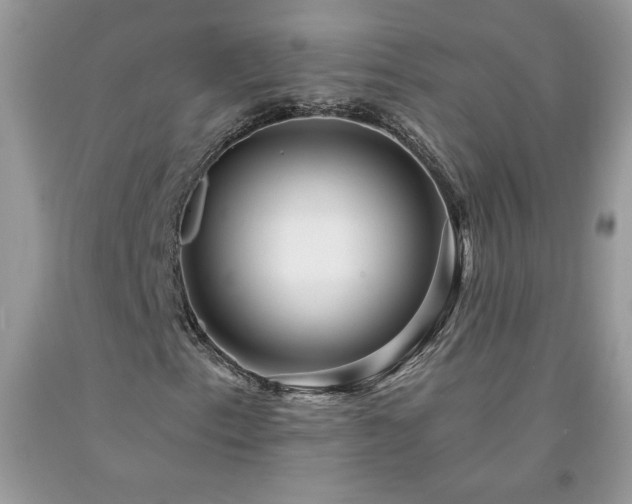 X0000094171153200710261102