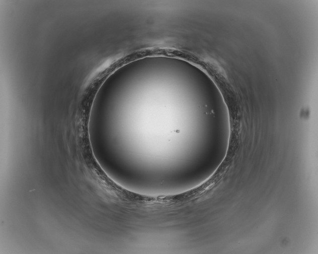 X0000094171159200710261102