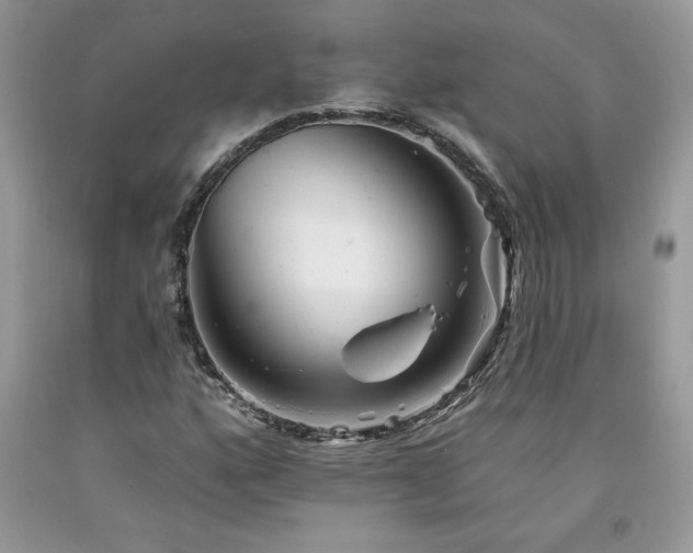 X0000094171160200710261102