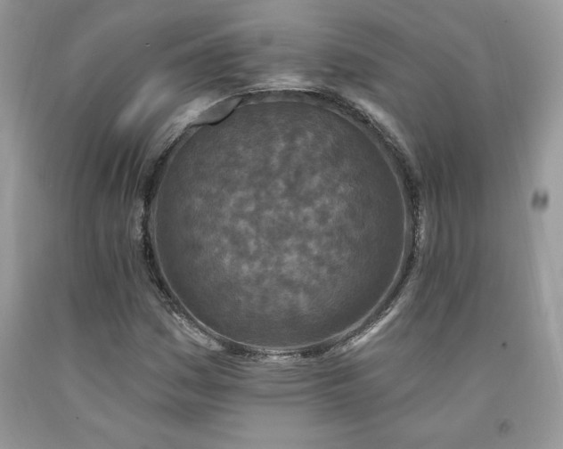 X0000094171161200710261102