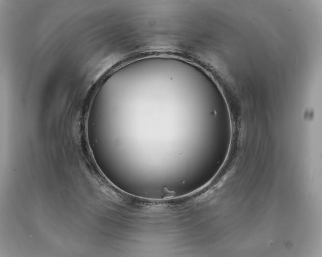 X0000094171162200710261102