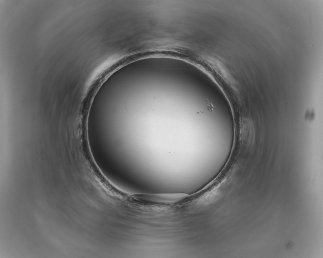 X0000094171164200710261102