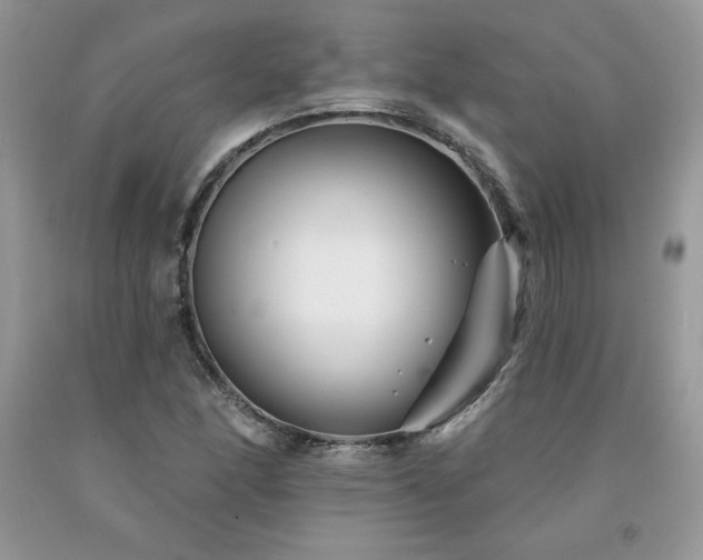 X0000094171166200710261102