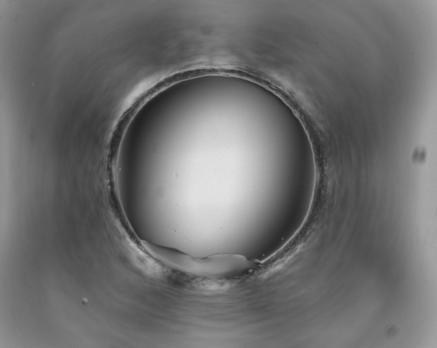 X0000094171168200710261102
