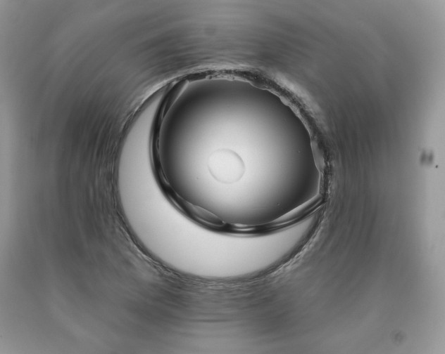 X0000094171169200710261102