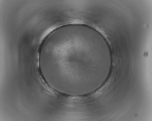 X0000094171171200710261102