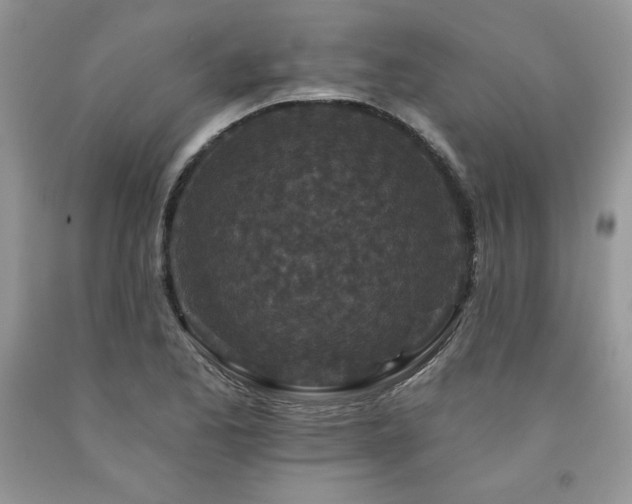 X0000094171173200710261102