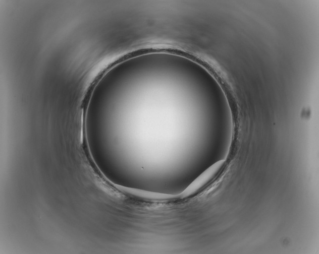 X0000094171175200710261102