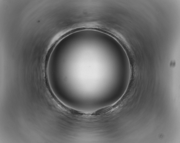 X0000094171176200710261102