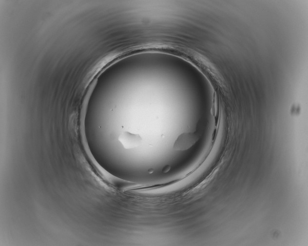 X0000094171177200710261102