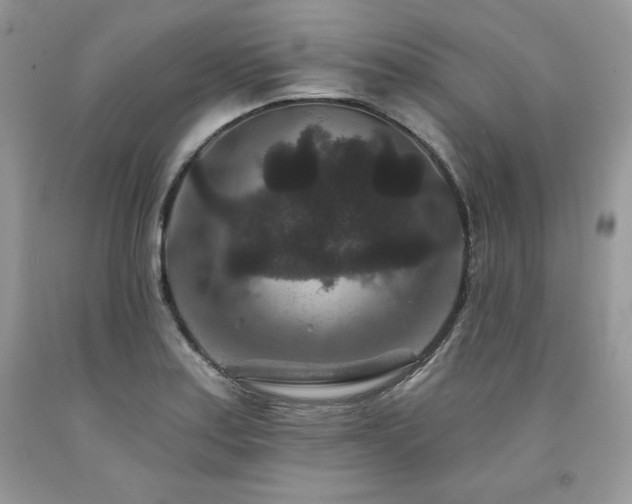 X0000094171179200710261102